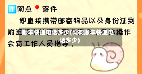 顺丰快递电话多少(梨树顺丰快递电话多少)-第2张图片