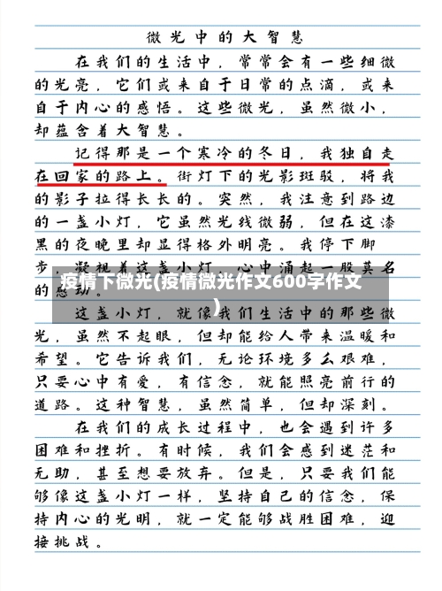 疫情下微光(疫情微光作文600字作文)-第1张图片