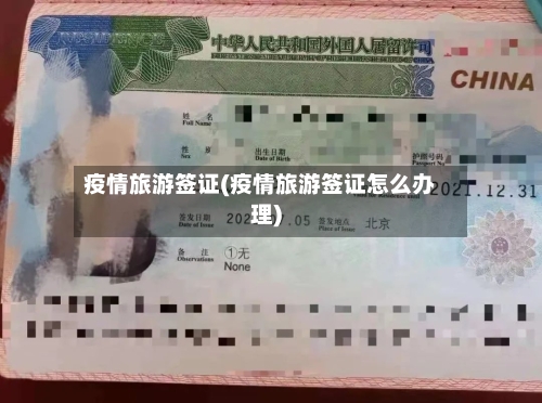 疫情旅游签证(疫情旅游签证怎么办理)-第1张图片
