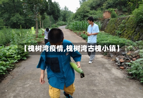 【槐树湾疫情,槐树湾古槐小镇】-第3张图片