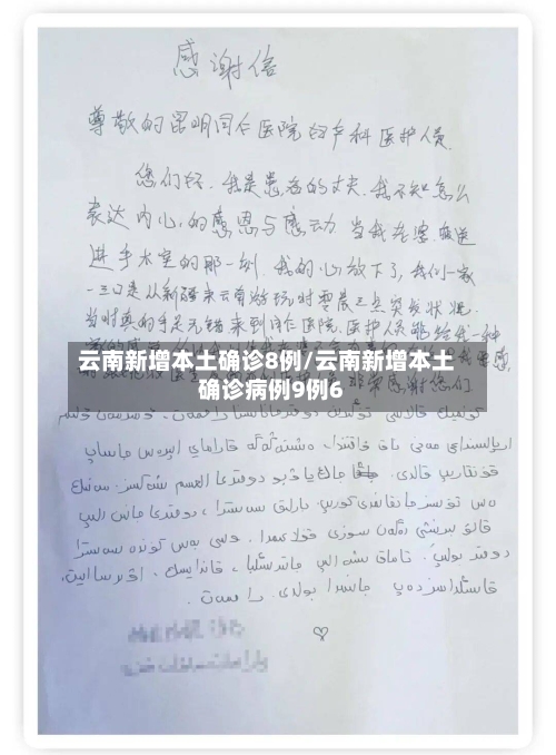 云南新增本土确诊8例/云南新增本土确诊病例9例6-第2张图片