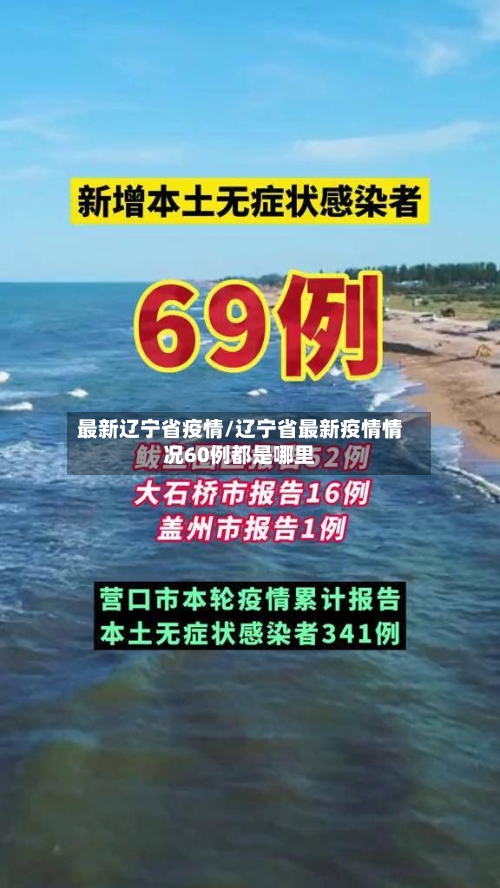 最新辽宁省疫情/辽宁省最新疫情情况60例都是哪里-第1张图片