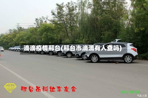 滴滴疫情邢台(邢台市滴滴有人查吗)-第1张图片