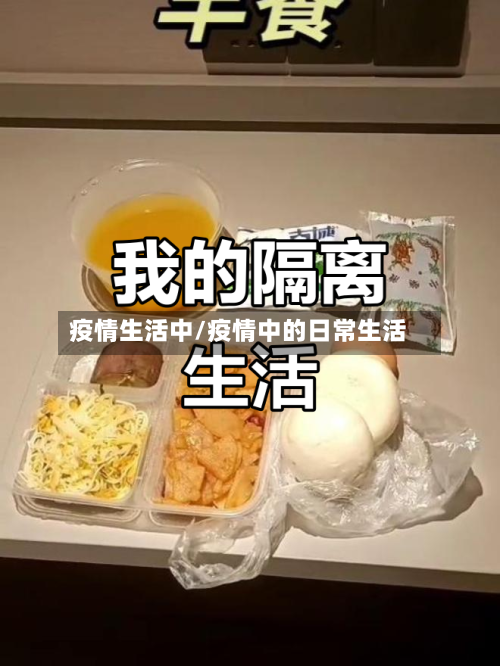 疫情生活中/疫情中的日常生活-第1张图片