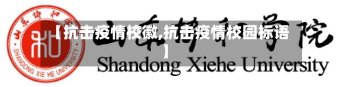 【抗击疫情校徽,抗击疫情校园标语】-第3张图片