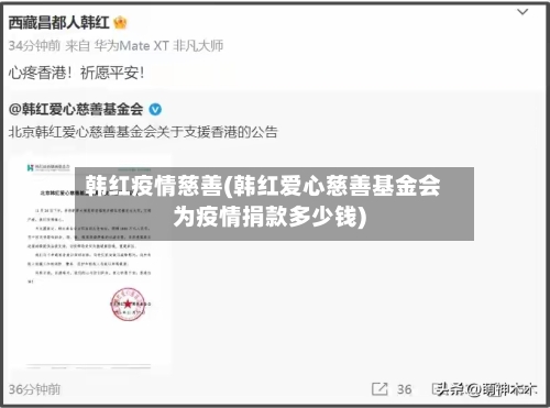 韩红疫情慈善(韩红爱心慈善基金会为疫情捐款多少钱)-第3张图片