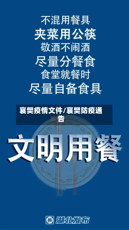 襄樊疫情文件/襄樊防疫通告-第1张图片