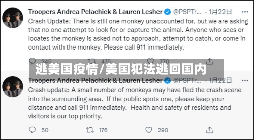 逃美国疫情/美国犯法逃回国内-第2张图片