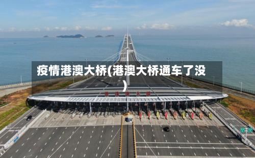 疫情港澳大桥(港澳大桥通车了没)-第1张图片