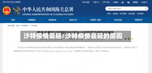 沙特疫情蔓延/沙特疫情蔓延的原因-第1张图片