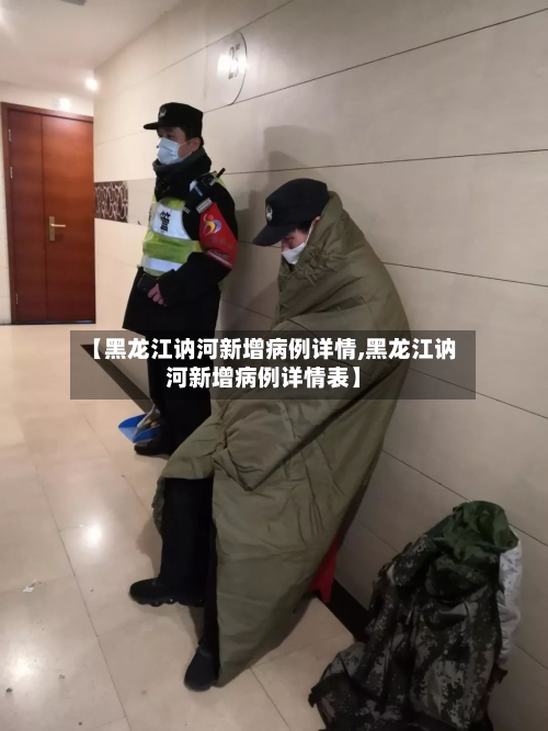 【黑龙江讷河新增病例详情,黑龙江讷河新增病例详情表】-第2张图片