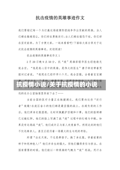 抗疫情小说/关于抗疫情的小说-第2张图片