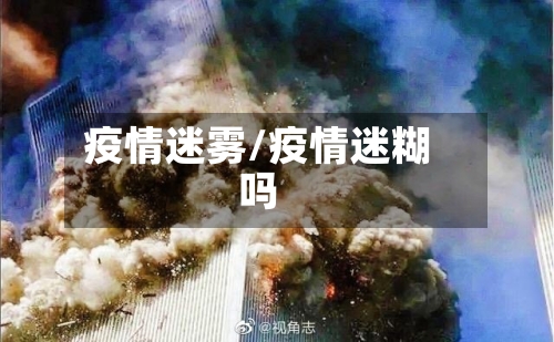 疫情迷雾/疫情迷糊吗-第3张图片