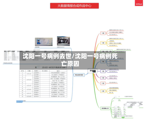 沈阳一号病例去世/沈阳一号病例死亡原因-第2张图片