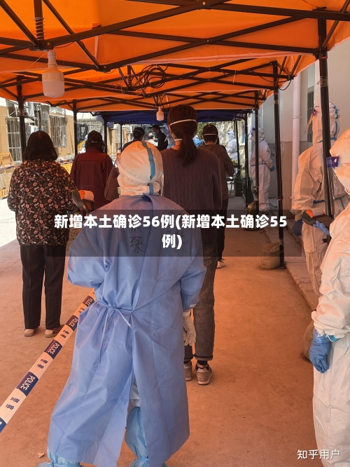 新增本土确诊56例(新增本土确诊55例)-第3张图片