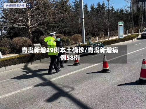 青岛新增29例本土确诊/青岛新增病例58例-第2张图片