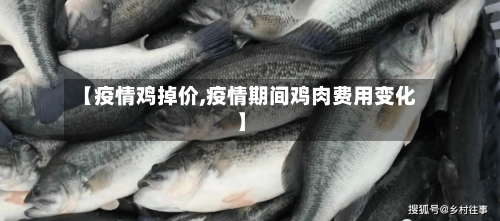 【疫情鸡掉价,疫情期间鸡肉费用变化】-第3张图片