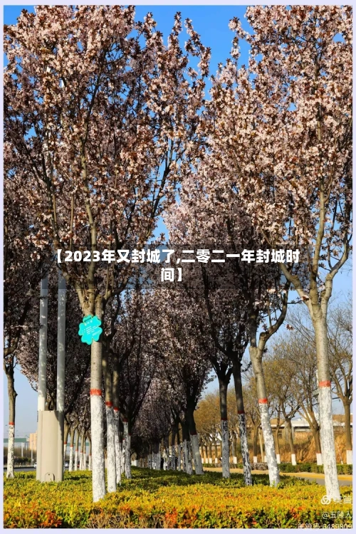 【2023年又封城了,二零二一年封城时间】-第1张图片