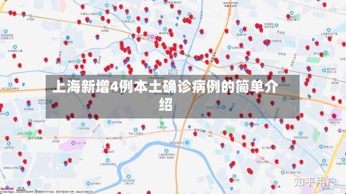 上海新增4例本土确诊病例的简单介绍-第1张图片