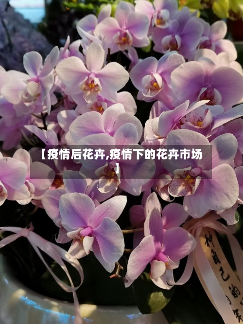 【疫情后花卉,疫情下的花卉市场】-第3张图片