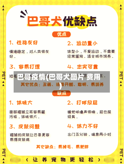 巴哥疫情(巴哥犬图片 费用)-第3张图片