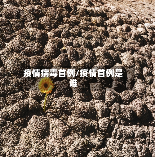 疫情病毒首例/疫情首例是谁-第1张图片