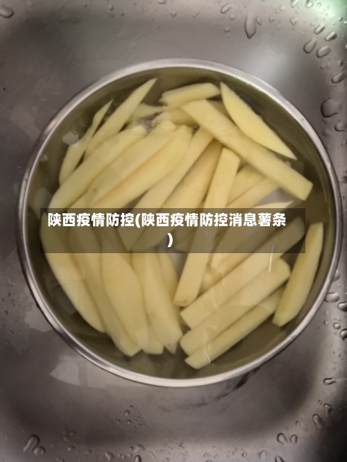 陕西疫情防控(陕西疫情防控消息薯条)-第3张图片