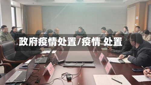 政府疫情处置/疫情 处置-第1张图片