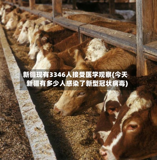 新疆现有3346人接受医学观察(今天新疆有多少人感染了新型冠状病毒)-第1张图片