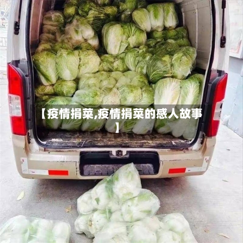 【疫情捐菜,疫情捐菜的感人故事】-第2张图片