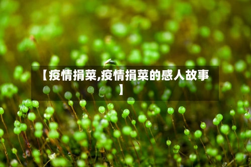 【疫情捐菜,疫情捐菜的感人故事】-第3张图片