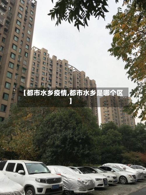 【都市水乡疫情,都市水乡是哪个区】-第2张图片